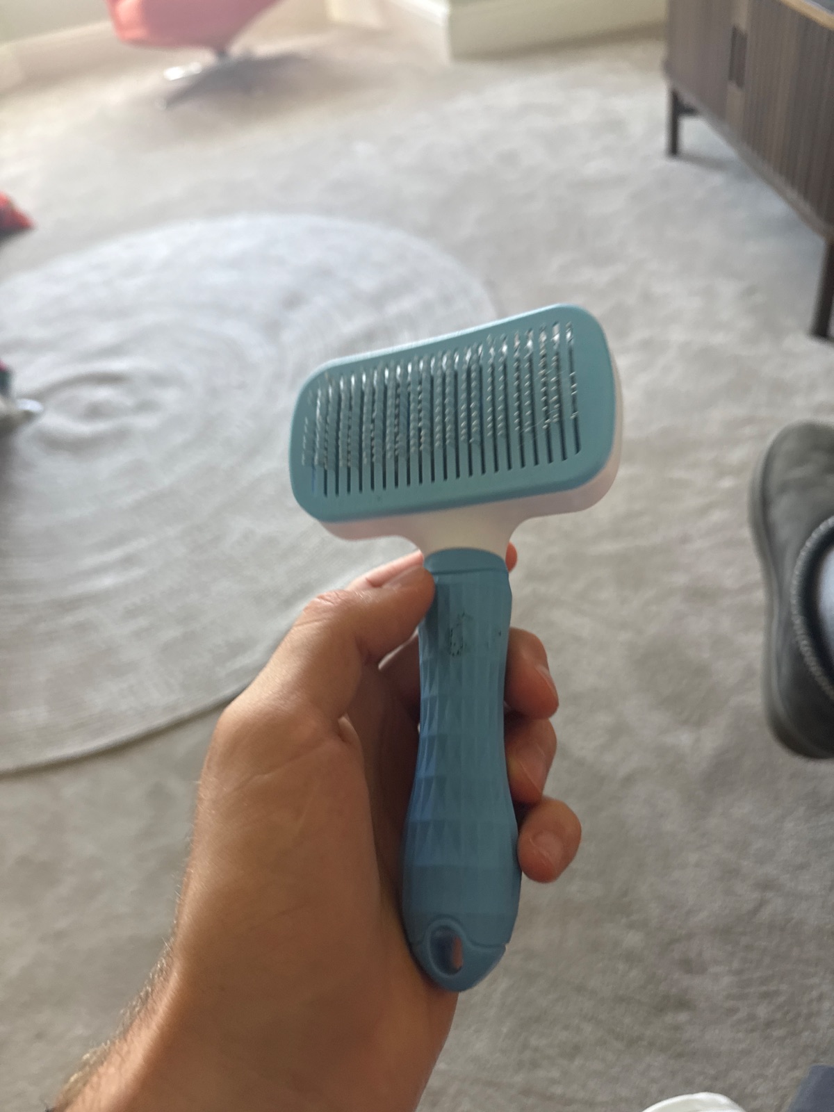 Cat brush