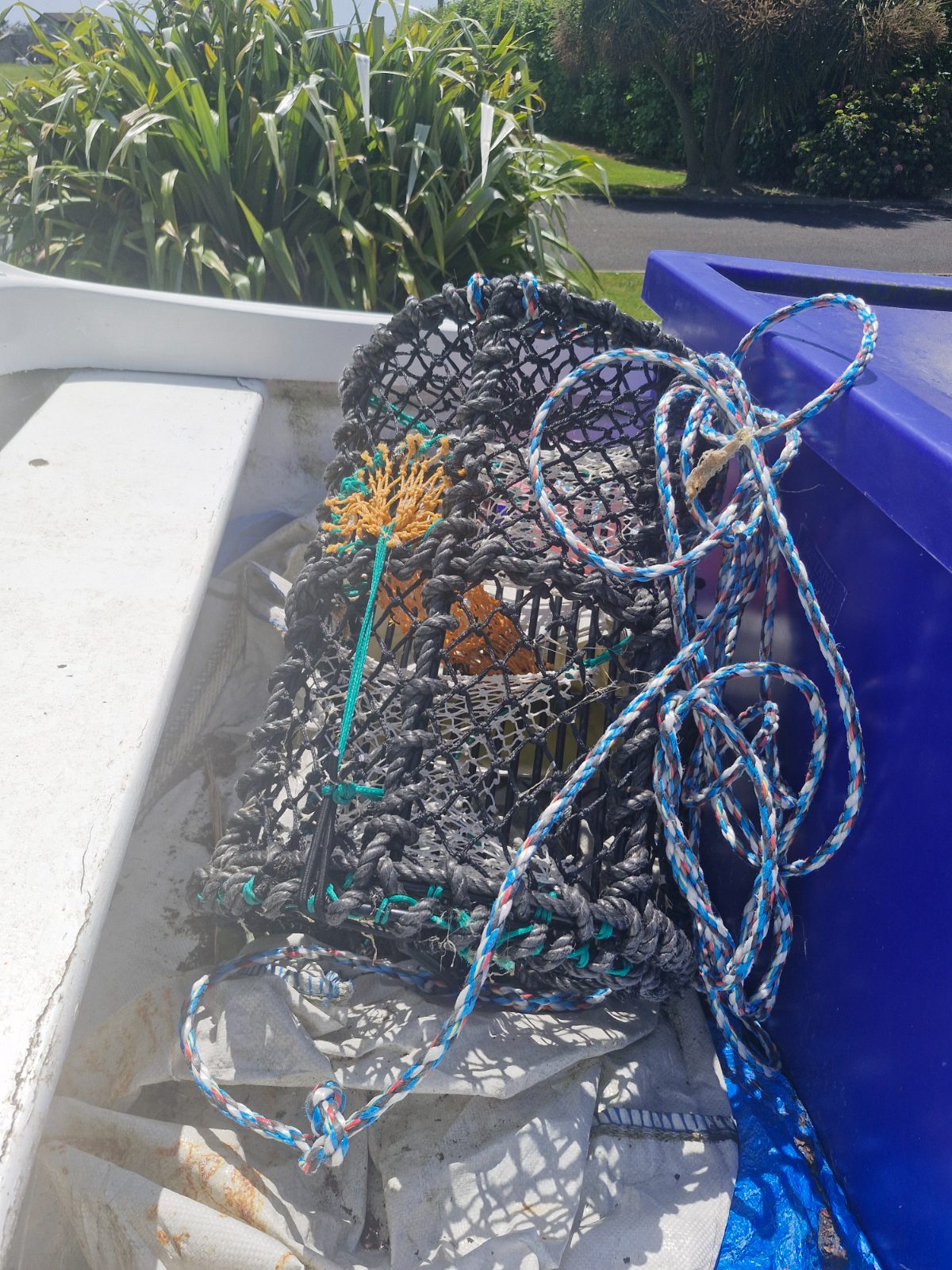 Lobster Pot