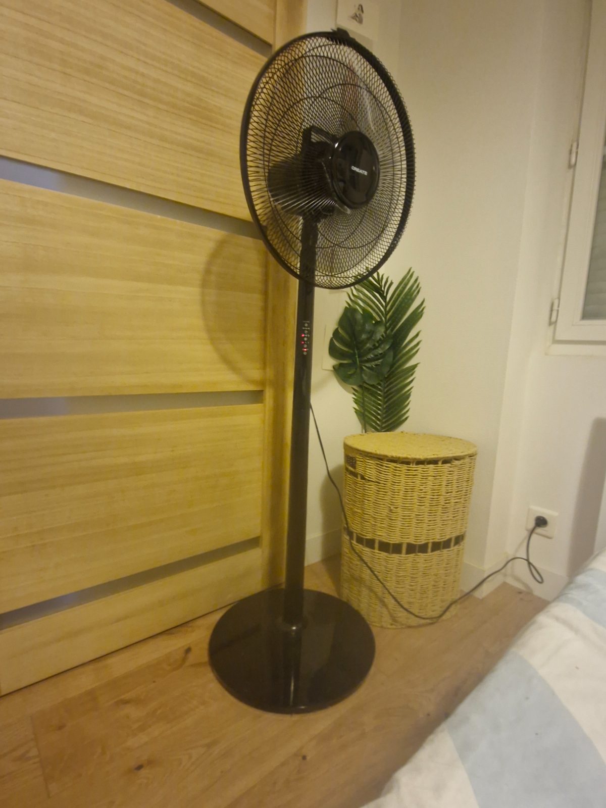 Fan