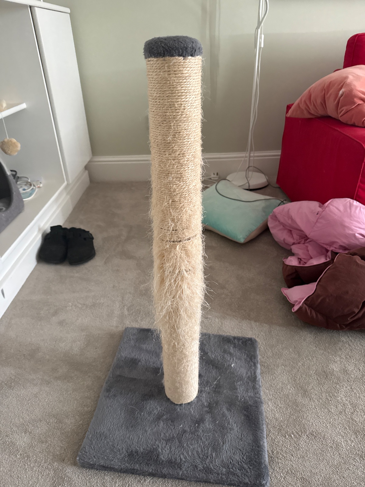 Cat scratcher