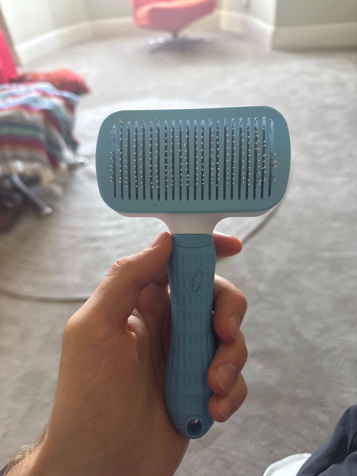 Cat brush